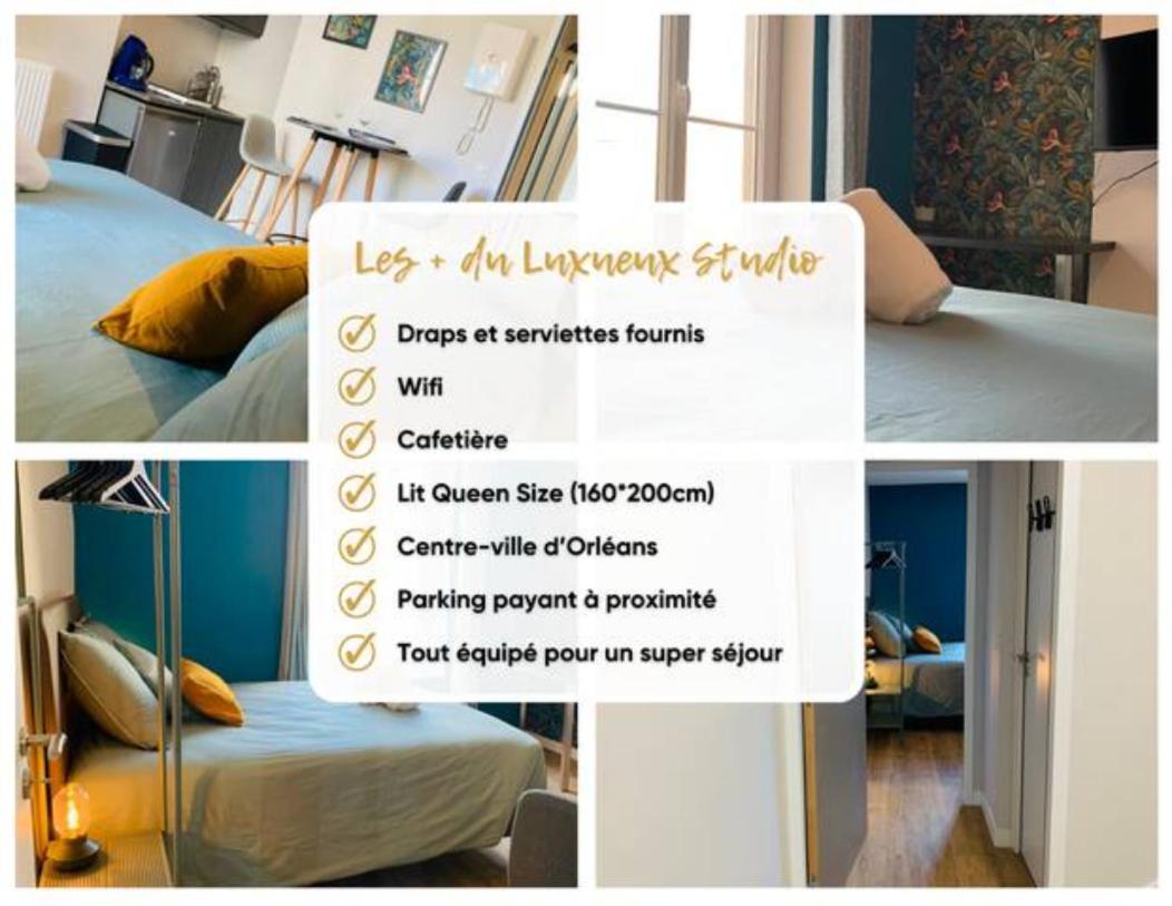 Luxueux Studio Rue Bannier Neuf Leilighet Orléans Eksteriør bilde
