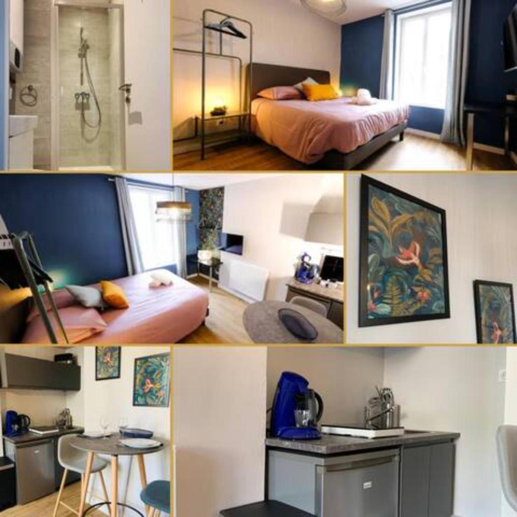 Luxueux Studio Rue Bannier Neuf Leilighet Orléans Eksteriør bilde